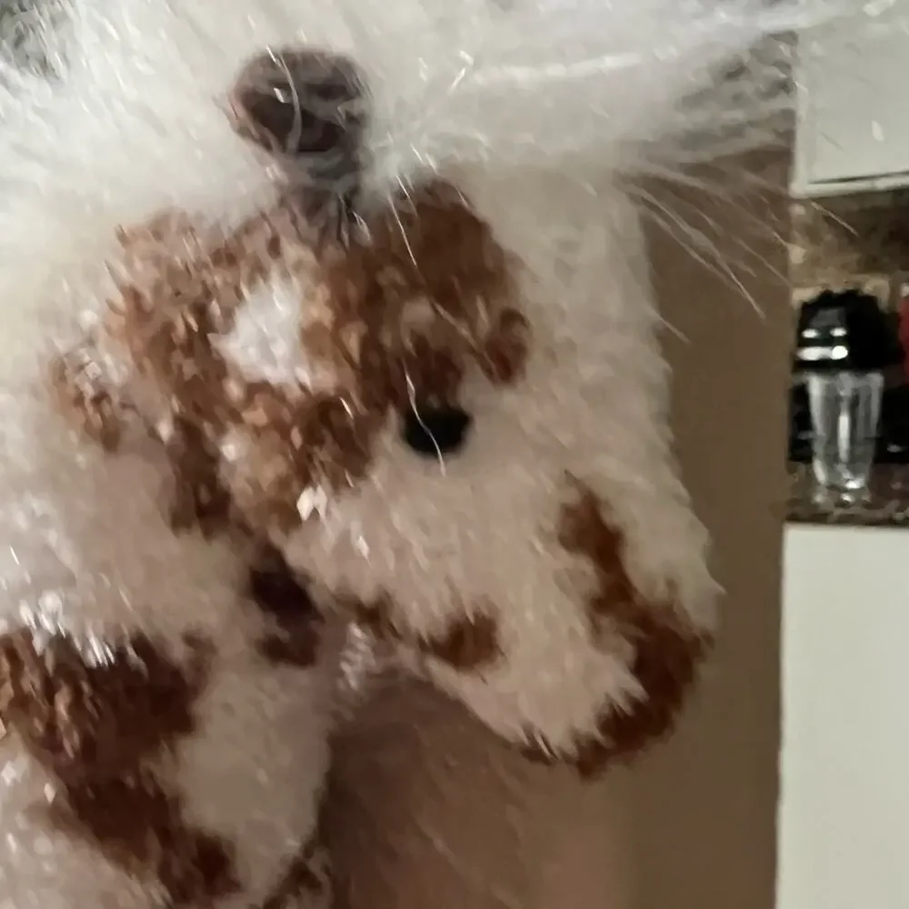 CAVALIA Horse Plush Brown White